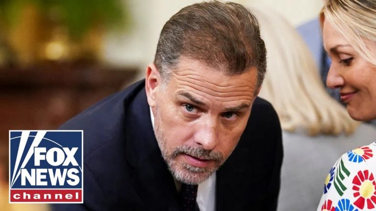 Hunter Biden Doing This Shows We Have Problems: Tammy Bruce Hunter Biden Doing This Shows We Have Problems: Tammy Bruce