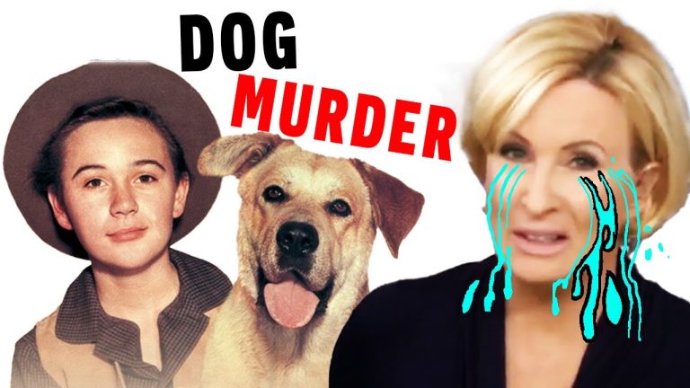 They only JUST Found This Out At MSNBC They only JUST Found This Out At MSNBC