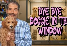 Puppy Prohibition: Ban on Pet Store Sales Kills Pet Stores, But Hasn’t Stopped Puppy Mills.