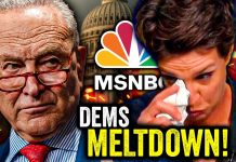 MSNBC LOSES THEIR MINDS as Humiliated Schumer CAVES!!!