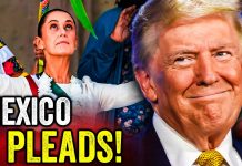 Mexico Is BEGGING Trump to Save Them from Cartel HELL!!!