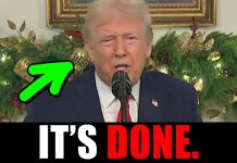 ABSOLUTE VINDICATION.