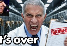 FDA Head Reveals Dr. Fauci Cover Up As He BANS Cruel ‘Mad Scientist’ Animal Torture… FDA Head Reveals Dr. Fauci Cover Up As He BANS Cruel ‘Mad Scientist’ Animal Torture…