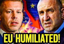 The EU and GLOBALISTS Have Been Made to Look TOTAL FOOLS!!! The EU and GLOBALISTS Have Been Made to Look TOTAL FOOLS!!!