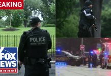 Secret Service reportedly takes down armed individual outside White House after shots fired Secret Service reportedly takes down armed individual outside White House after shots fired