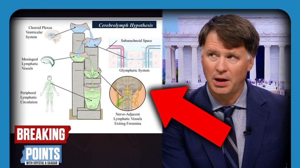 Med Establishment STUNNED By Brain Discovery THAT CHANGES EVERYTHING
