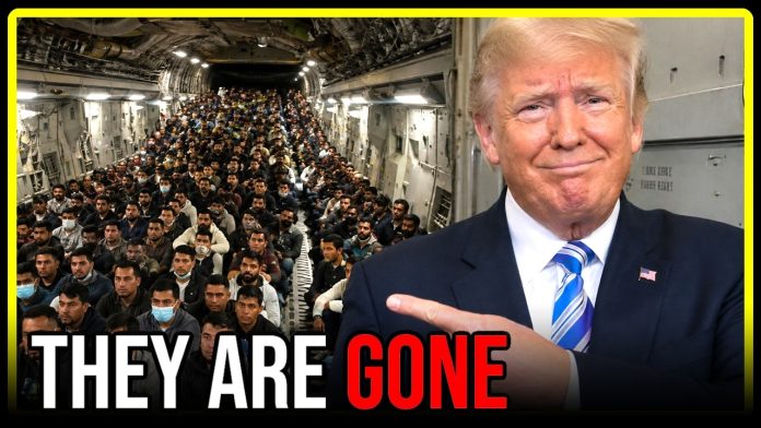 Trump actually PULLED IT OFF....