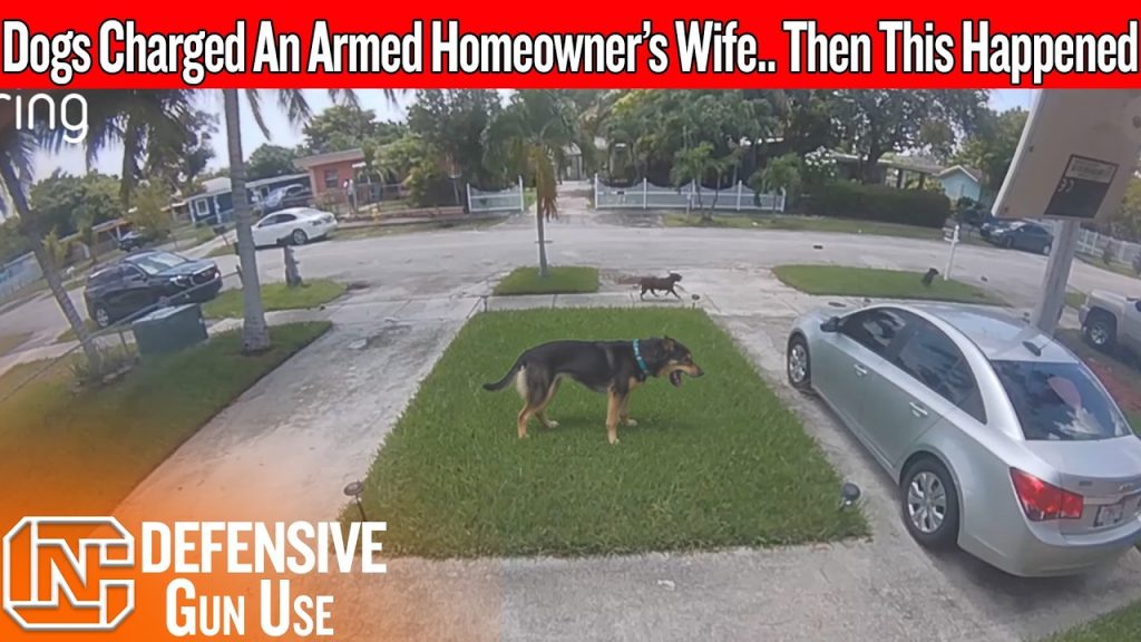 His Wife Was Trapped In The Driveway… Then He Came Back Armed His Wife Was Trapped In The Driveway… Then He Came Back Armed
